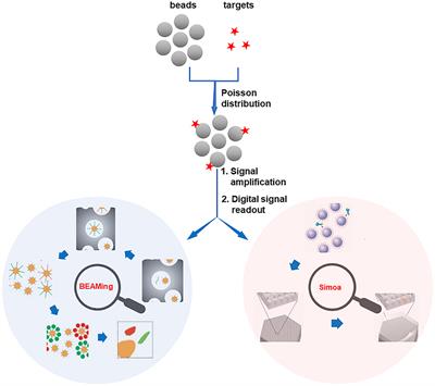 Trends of Bead Counting-Based Technologies Toward the Detection of Disease-Related Biomarkers